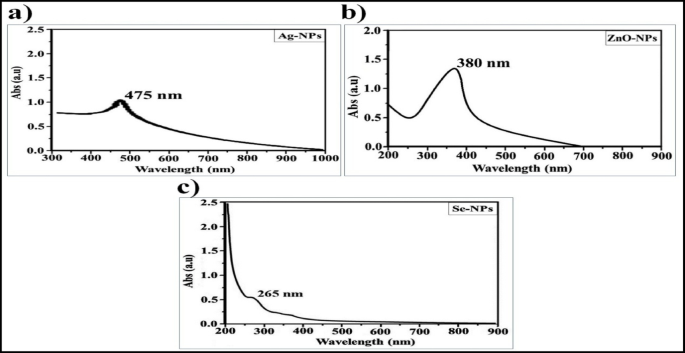 In vitro biological potential of green-synthesized nanoparticles from the Egyptian edible bivalve Paratapes undulatus (B