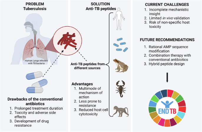Antimicrobial peptides for tuberculosis in a post-antibiotic era: from in vitro promise to therapeutic potential