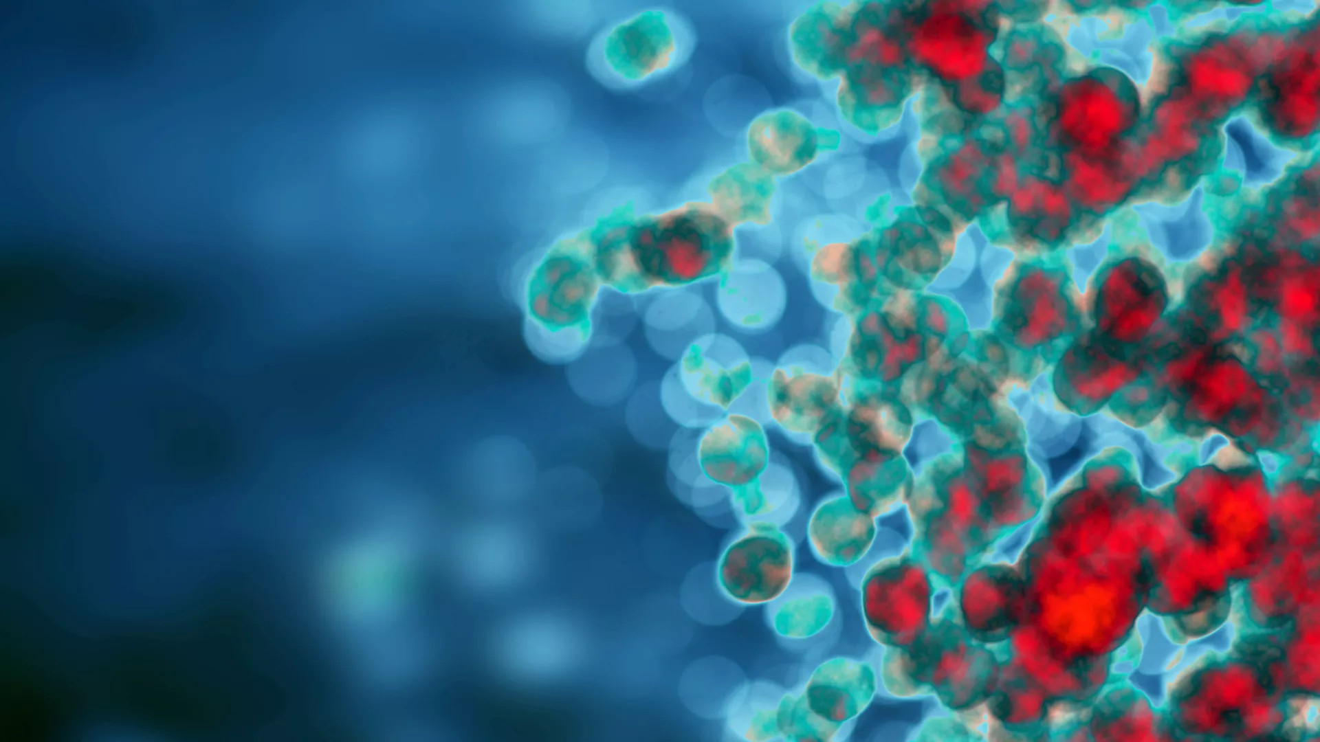 Editorial: Macrophages at the crossroads of fibrosis and immunosuppression